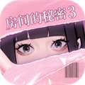 房间的秘密3女团之夜