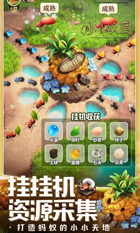 小小蚁国(极速发育版)图4