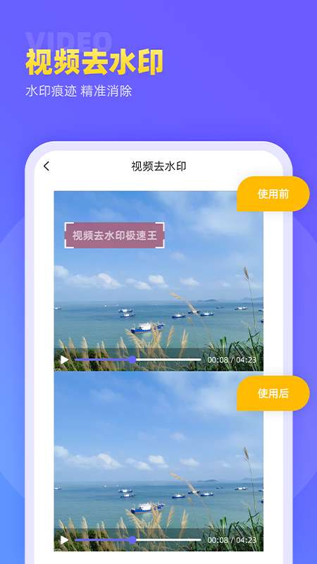 视频去水印极速王图3