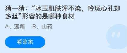 支付宝蚂蚁庄园2023年11月6日答案更新-猜一猜冰玉肌肤浑不染，玲珑心孔却 多丝形容的是哪种食材？11月6日答案分享