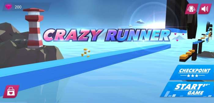 Crazy Runner图4